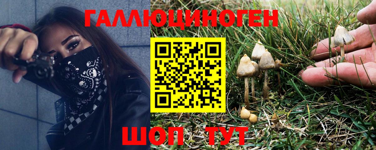 Астрахань  Псилоцибиновые грибы мухоморы  Вход с VPN 